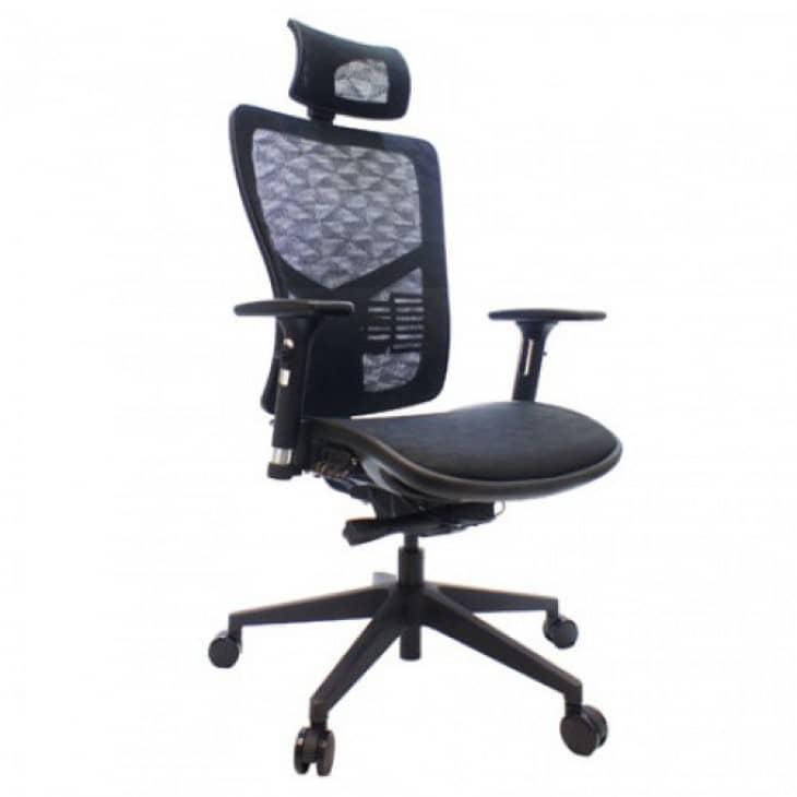 Myron Ergonomic Chair